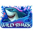 Wild Shark game icon